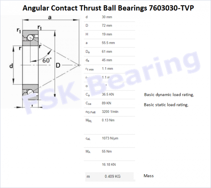 7603030 - O contato angular de TVP empurrou os rolamentos de esferas parafusa a gaiola de nylon do apoio 2